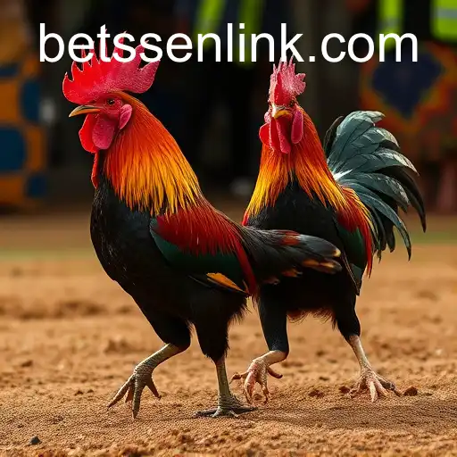 Exploring the Thrilling World of Sabong Games with BETSSEN